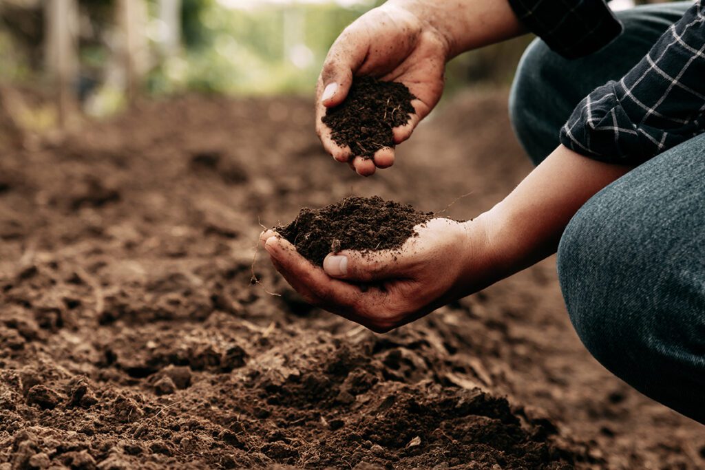 A person kneeling down in a field scooping up dirt in their hand.